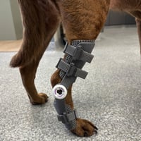 wimba tarsus orthosis pro