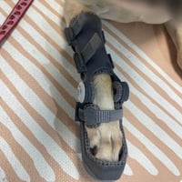 carpus pro with paw support-1