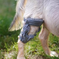 wimba-stifle-brace-mini